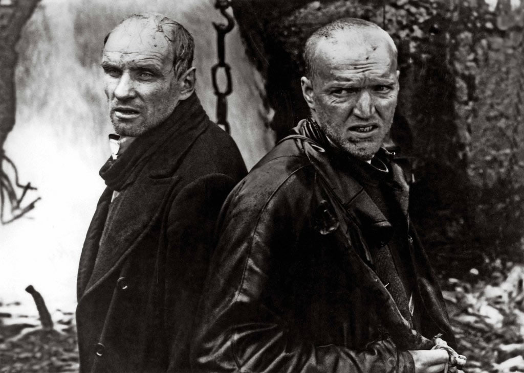 The Stalker and the Writer